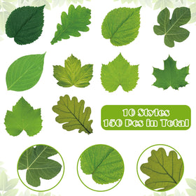 Tenceur festival-table leaf parchment paper adds festive table vibe