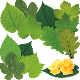Tenceur spring leaf parchment paper for elegant cheese boards and table decor