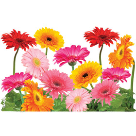 Tervis Gerbera Daisies pattern close-up showcases vibrant petals and color.
