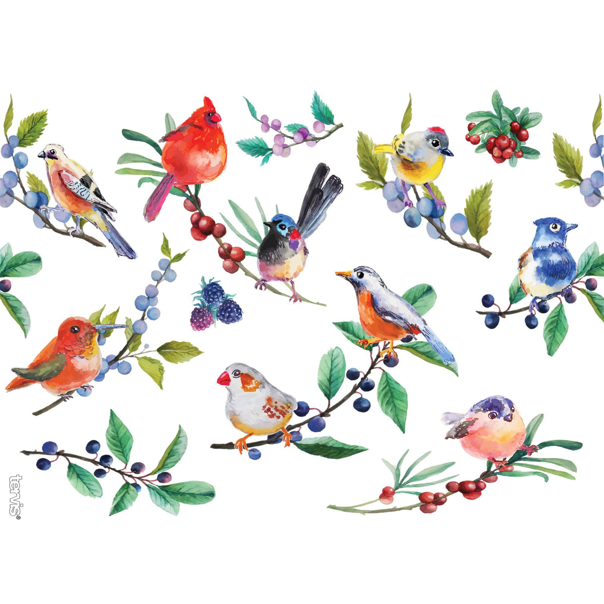 Tervis Watercolor Songbirds side view highlights ergonomic grip and BPA-free durability
