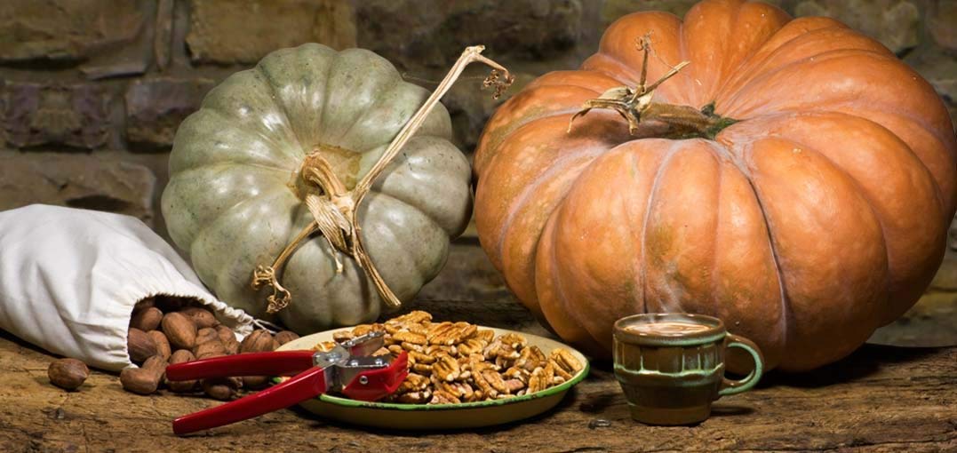 No power needed with the Texan York Nut Sheller, offering easy manual cracking.