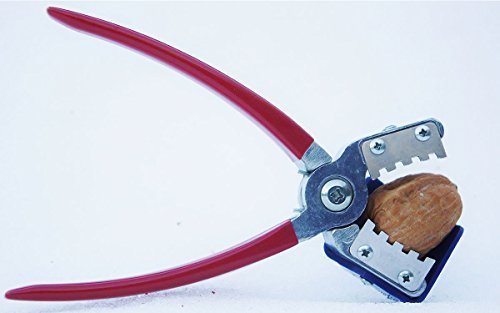 Close-up of the York Nut Sheller’s open design enabling easy nut access.