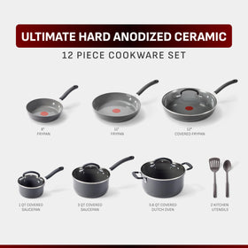 T-Fal Thermo-Spot preheat indicator highlighted on pan for consistent home cooking.