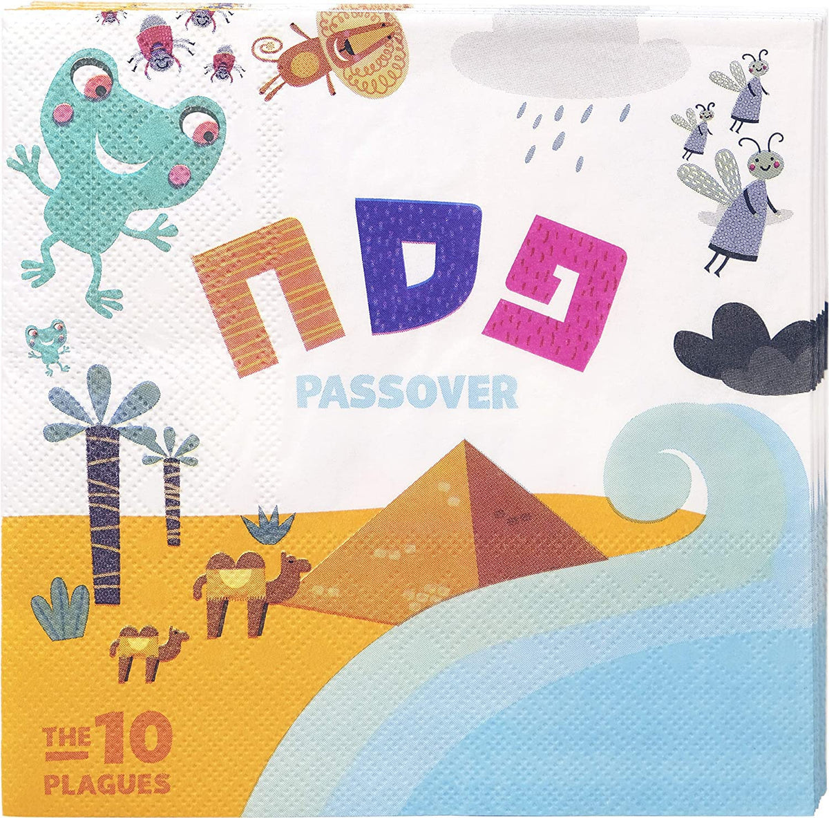 The Dreidel Company Passover packaging shown for easy storage and gifting.