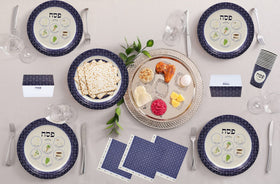The Dreidel Company 7-inch Passover plates for guests and kids