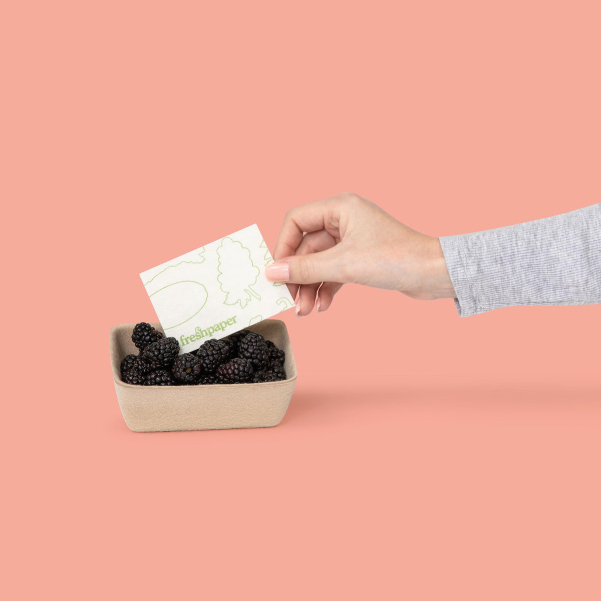 THE FRESHGLOW CO FreshPaper cut-to-fit sheets simplify storage and reduce waste