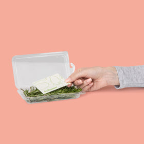 THE FRESHGLOW CO FreshPaper made in USA highlights eco-friendly, reusable design