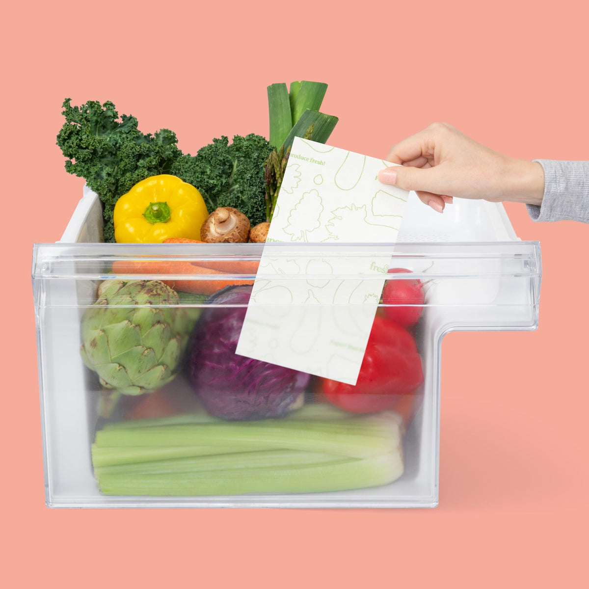 THE FRESHGLOW CO FreshPaper with salad bags reduces waste and keeps greens crisp