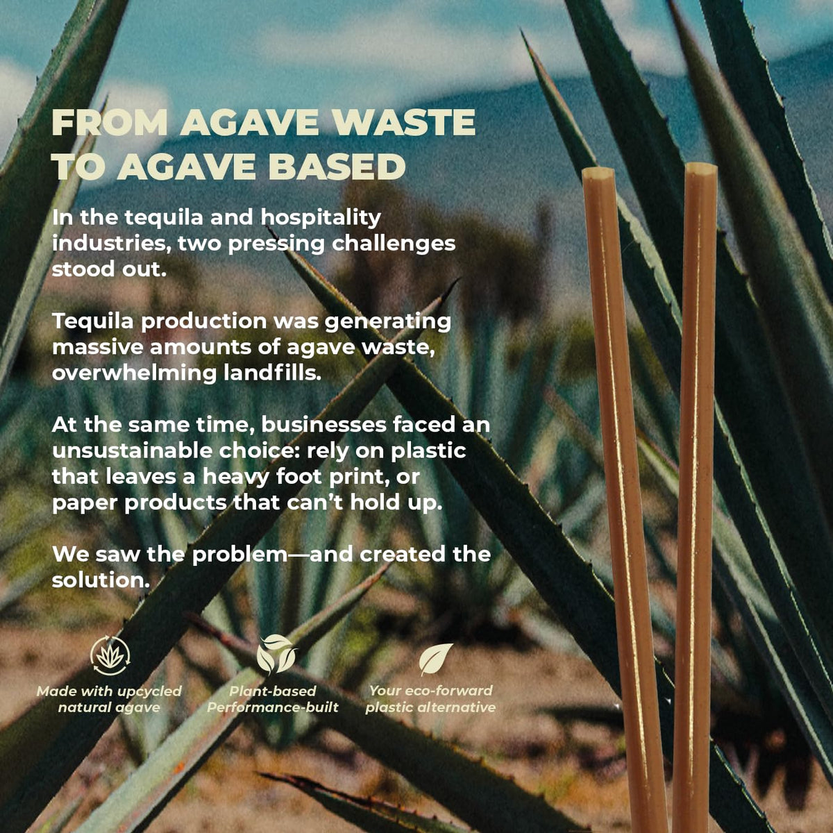THE SUSTAINABLE AGAVE COMPANY agave fiber straw coffee use demonstrates non-soggy performance