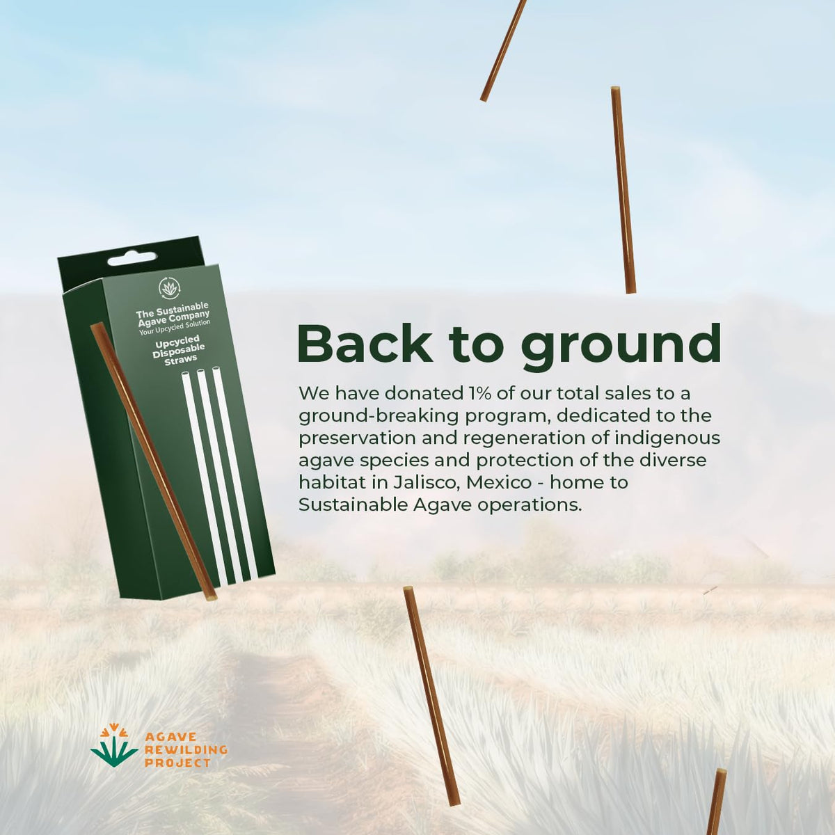 THE SUSTAINABLE AGAVE COMPANY agave fiber straw durability test shows long-lasting sip