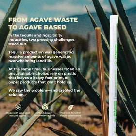 The Sustainable Agave Company agave straw in glass shows stylish eco option.