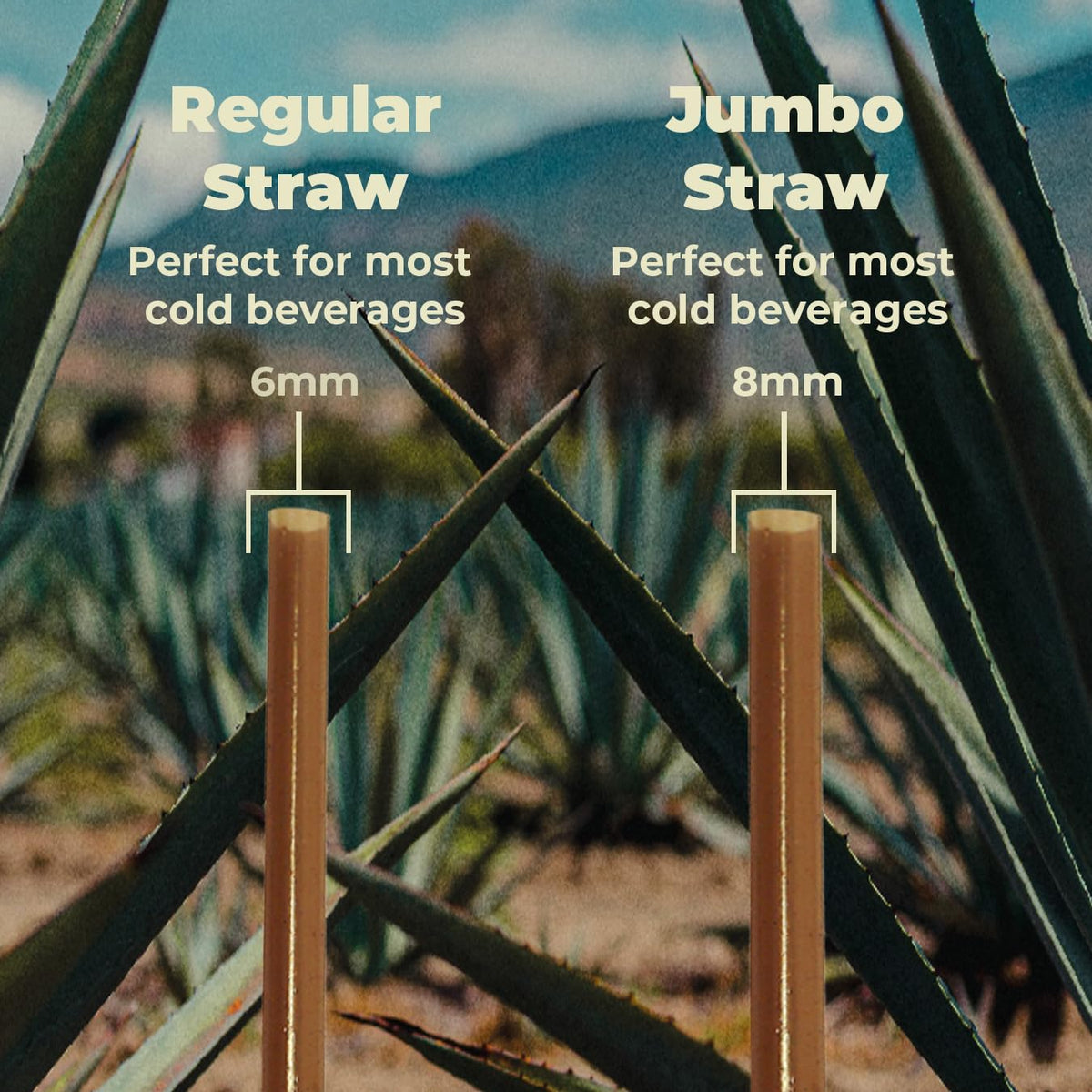 THE SUSTAINABLE AGAVE COMPANY agave straw reuse and cleaning friendly design