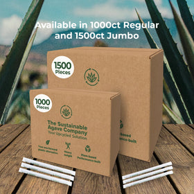 The Sustainable Agave Company open box reveals stackable ecoware.