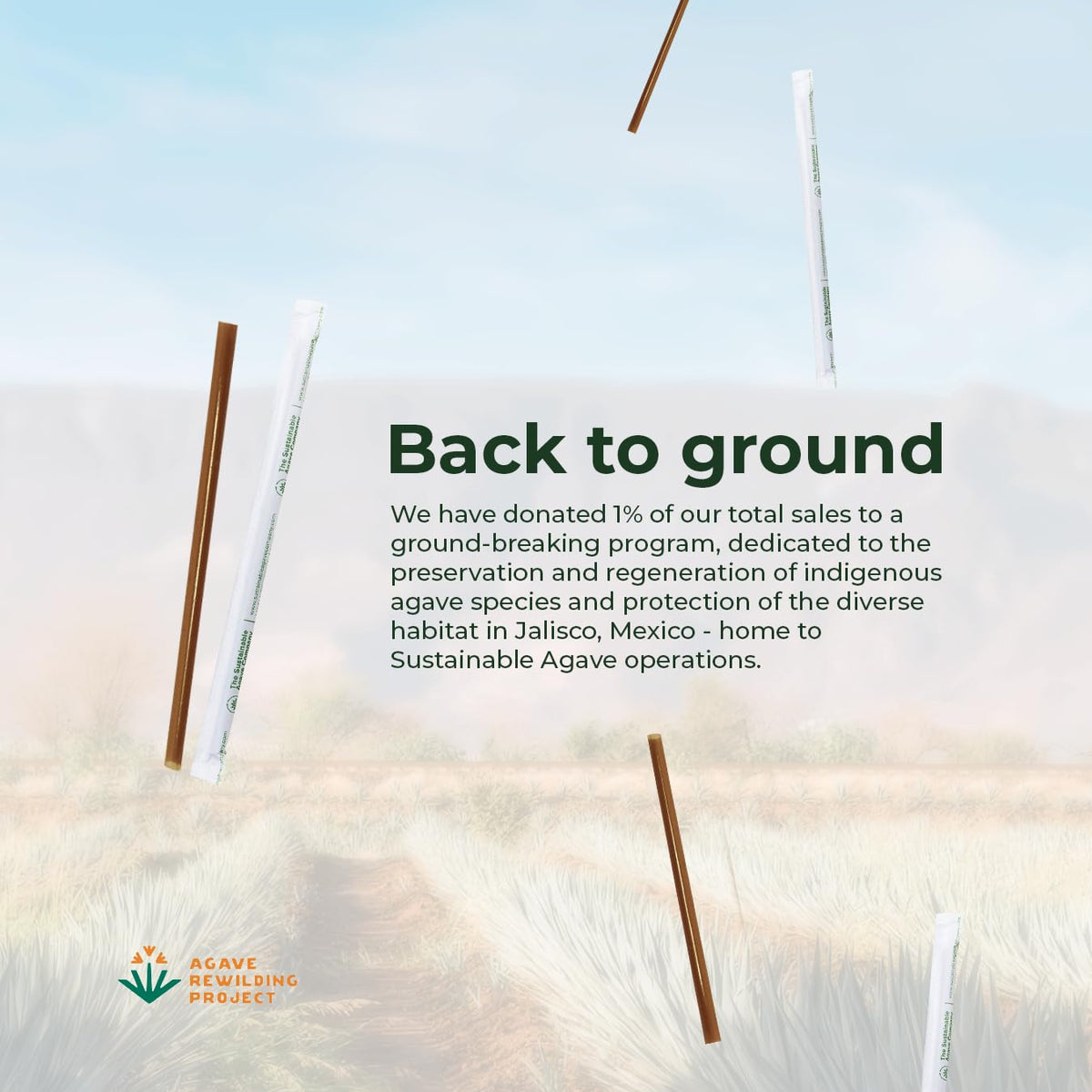 The Sustainable Agave Company plant-based plastic alternative shown by agave straw.