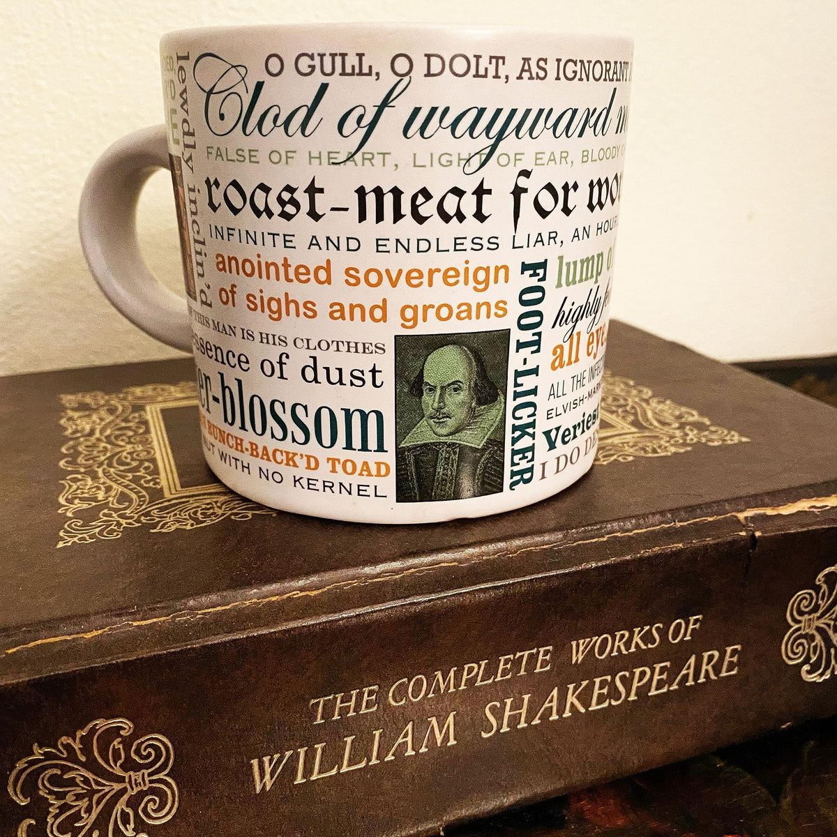The Unemployed Philosophers Guild Shakespeare Insults Mug in gift box, ready to gift.
