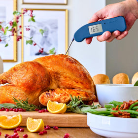 Thermapen ONE showing IP67 waterproof durability in kitchen use.