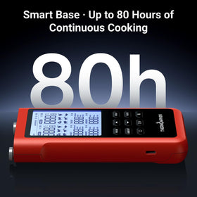 ThermoMaven 3000FT smoker session monitoring internal temps
