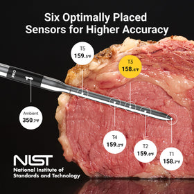 ThermoMaven G4 six-sensor accuracy delivers precise temperature insight.