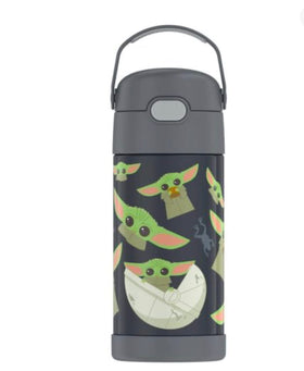 THERMOS FUNTAINER 12oz bottle with straw keeps drinks cold on the go.