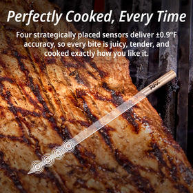 ThermoWorks RFX sensor-accuracy closeup communicates ±0.9°F precision.