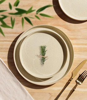 TheTerra salad plate 8.25 inch adds color and easy cleaning to meals