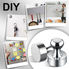 Tiergrade magnets with neodymium core provide reliable grip for classroom notices.