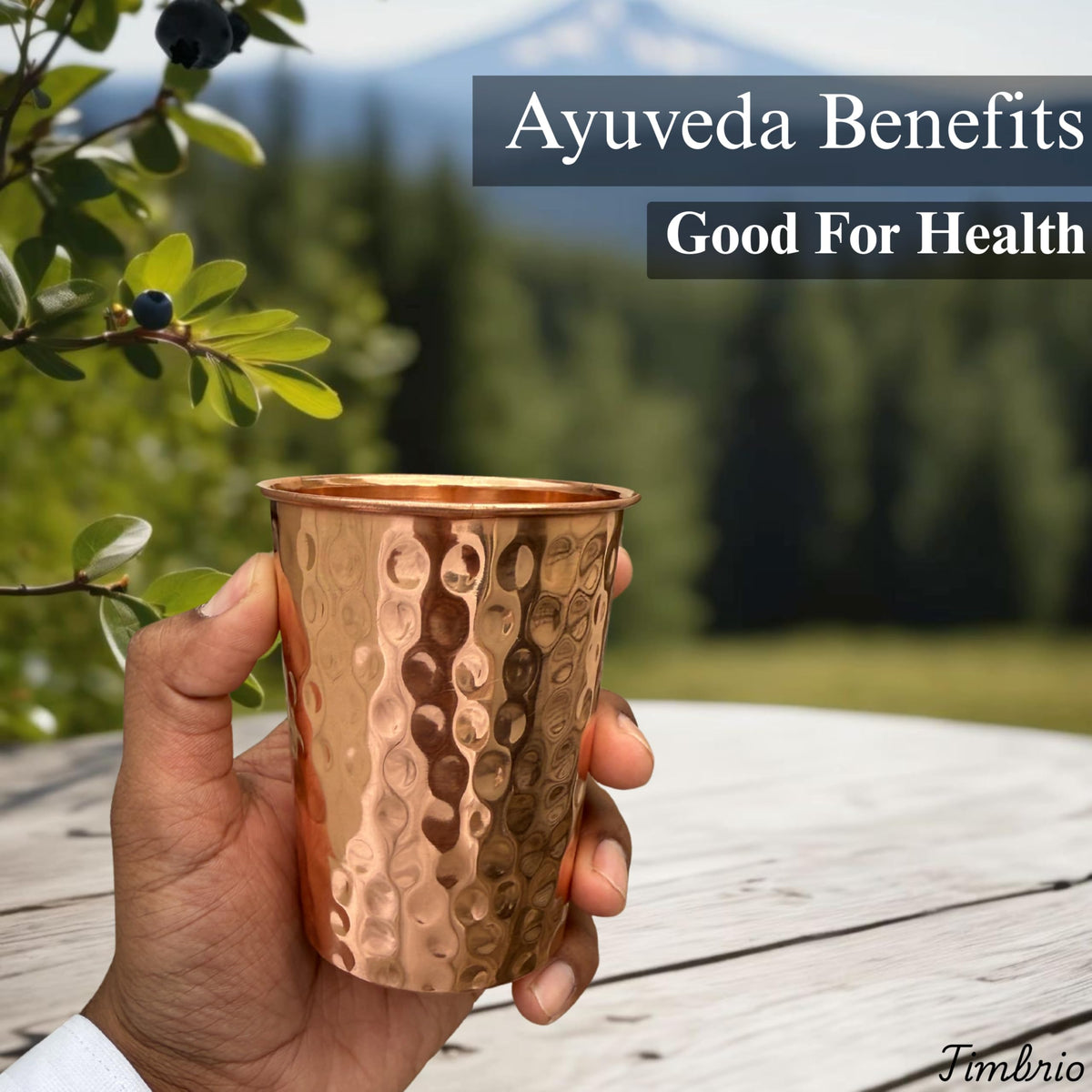 Timbrio handcrafted copper cups add warm, artisanal charm to any table.