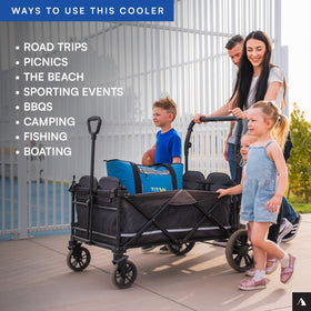 Titan Deep Freeze Tote holds up to 30 cans for portability.
