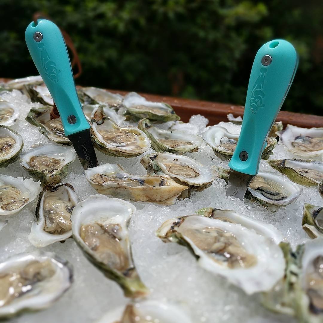 Toadfish eco-friendly handle made from post-consumer plastic supports habitat projects.