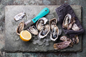 Toadfish multi-use oyster knife designed for raw and steamed oysters.