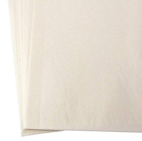 Replacement Toddy filters in resale packaging; compatible with Toddy Cold Brew System.