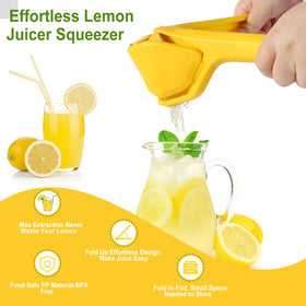 ToGeeKa LemonSqueezer in flat-fold storage saves kitchen drawer space.