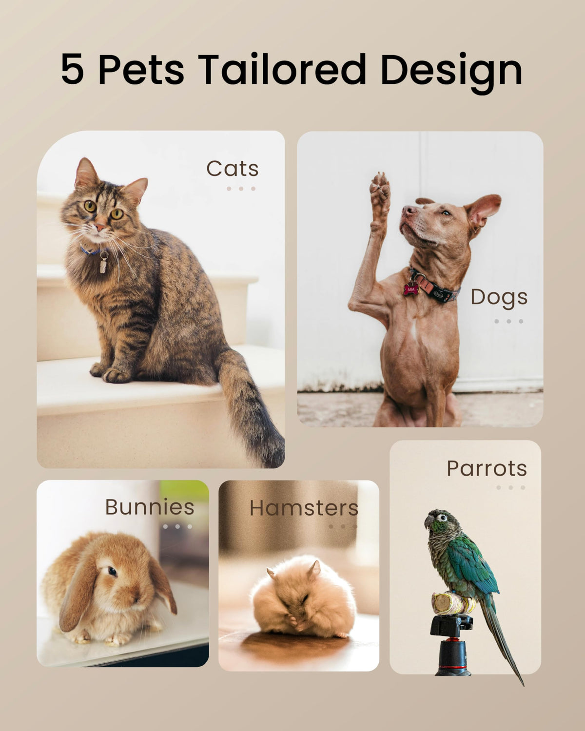 TOPTREES Pet Fresh Maker drying sheets enable efficient batch drying.
