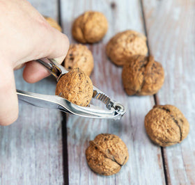 TORINALITAL crab claw cracker with sawtooth design enables controlled cracking.