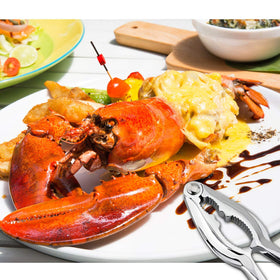 TORINALITAL lobster cracker tool with ergonomic handling for comfortable use.