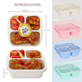 TOUWMX Bento Box Kids inside view highlighting three compartments for balanced portions