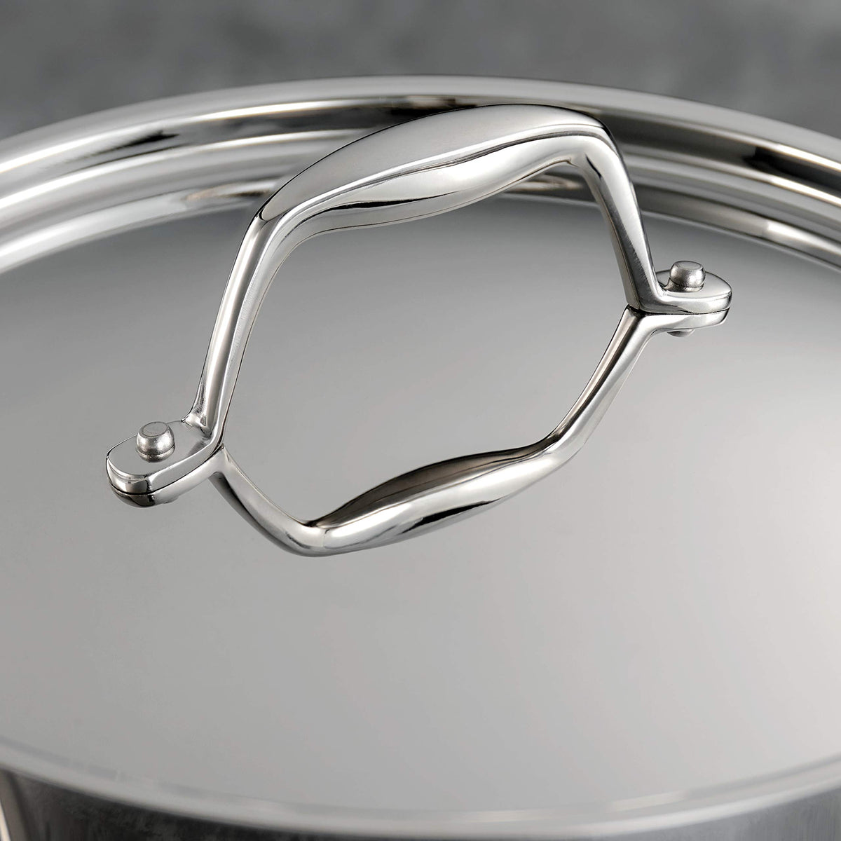 Tramontina Signature stock pot lid close-up emphasizes moisture sealing