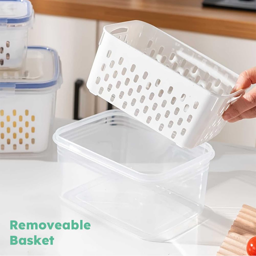 Trasylph durable plastic storage offers clear visibility and easy handling.