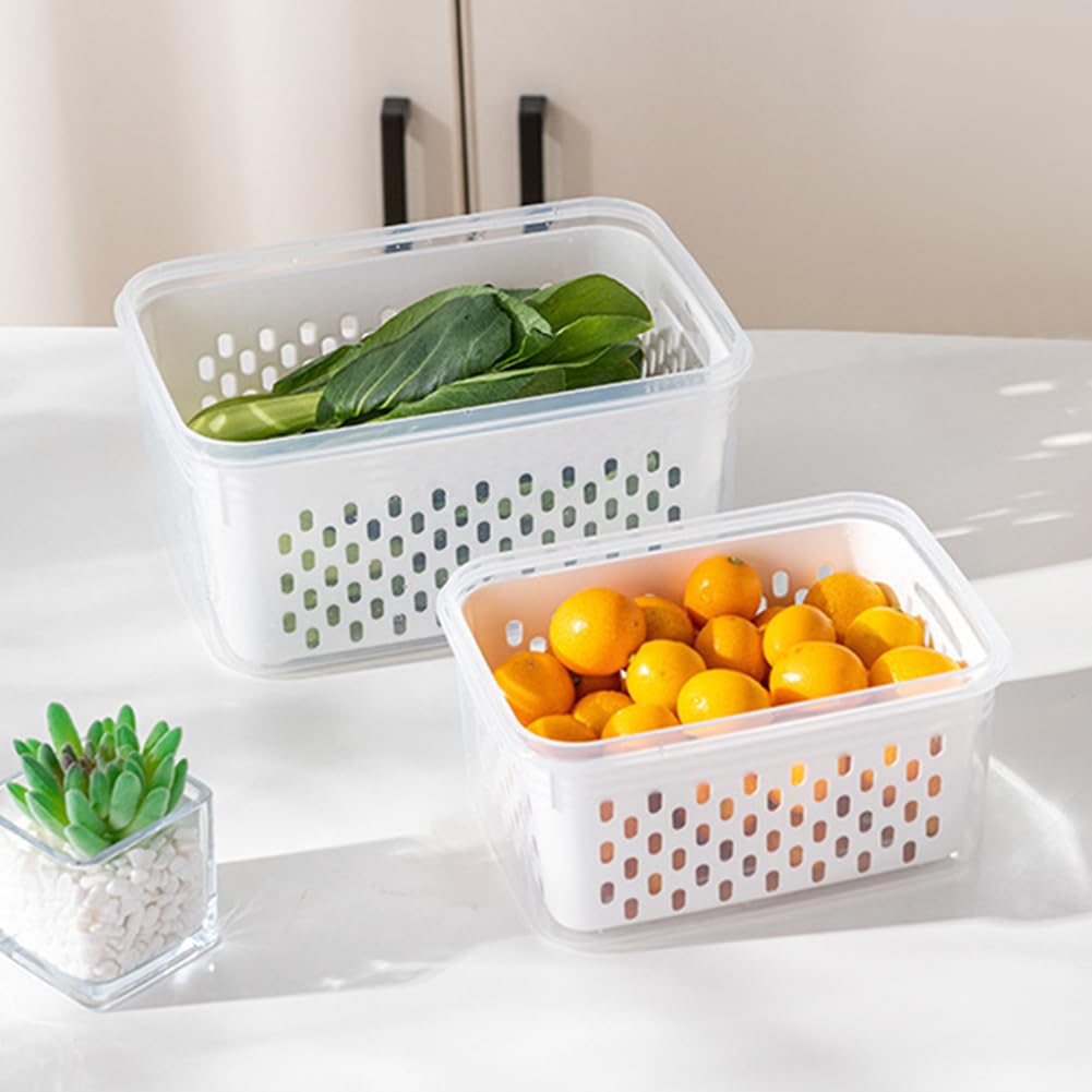 Trasylph container with lid supports moisture control and organized meal prep.
