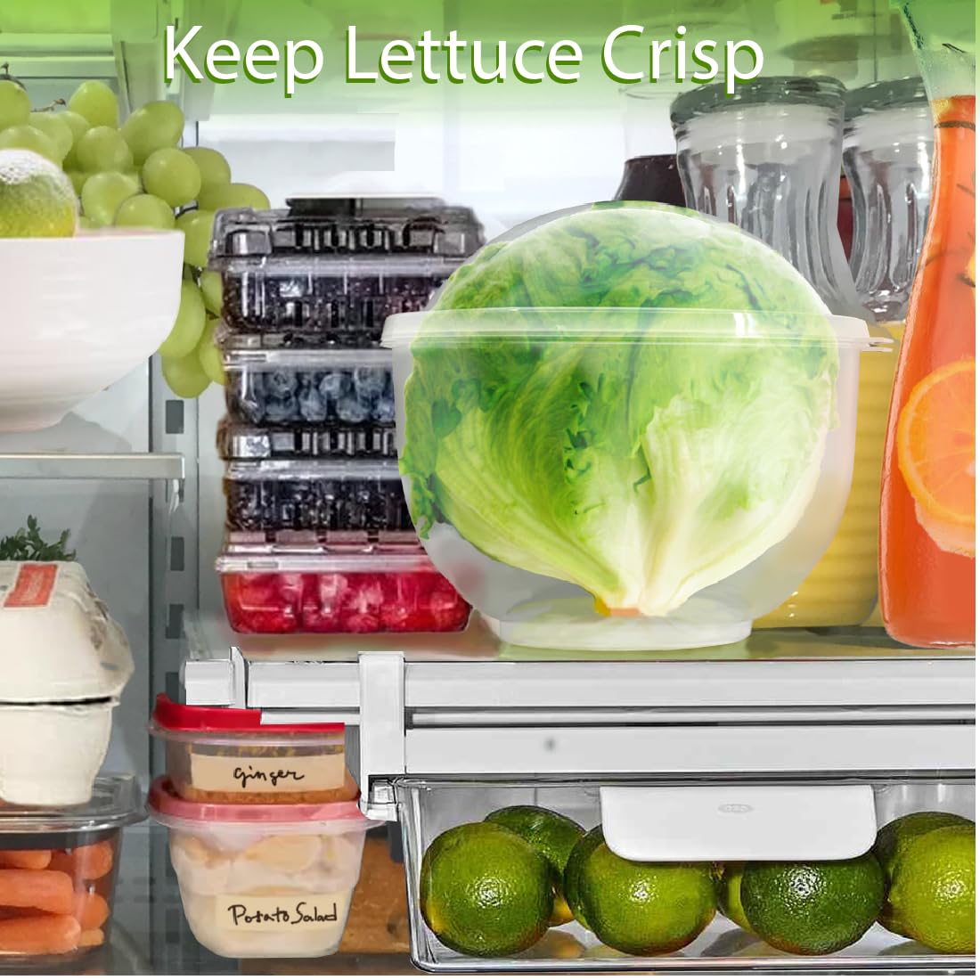 Trenton Gifts Lettuce And Vegatable Storage Keeper compact design fits fridge.
