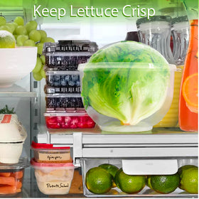 Trenton Gifts Lettuce And Vegatable Storage Keeper compact design fits fridge.