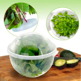 Trenton Gifts Lettuce And Vegatable Storage Keeper compact 7x8 inch size fits shelves.