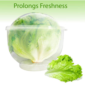 Trenton Gifts Lettuce And Vegatable Storage Keeper lid open shows compact design.