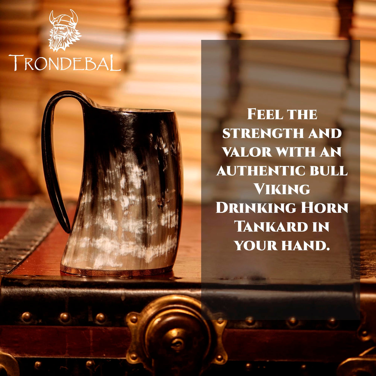 Trondebal Viking mug 500 ml capacity supports generous pours.