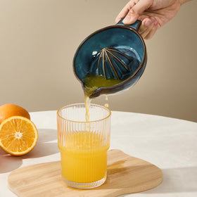 Tuioyoc compact lemon juicer shown in a small kitchen setup