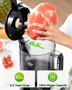 TUUMIIST juicer with whole fruit processing visual for convenience