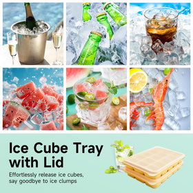Tvmania Microwave-Safe Trays simplify quick defrost and service