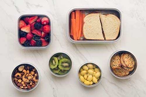 Picnic setup featuring U Konserve bento box, stainless steel durability in use.