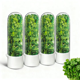 UEOZ herb keeper in fridge side view shows tall design keeps greens upright