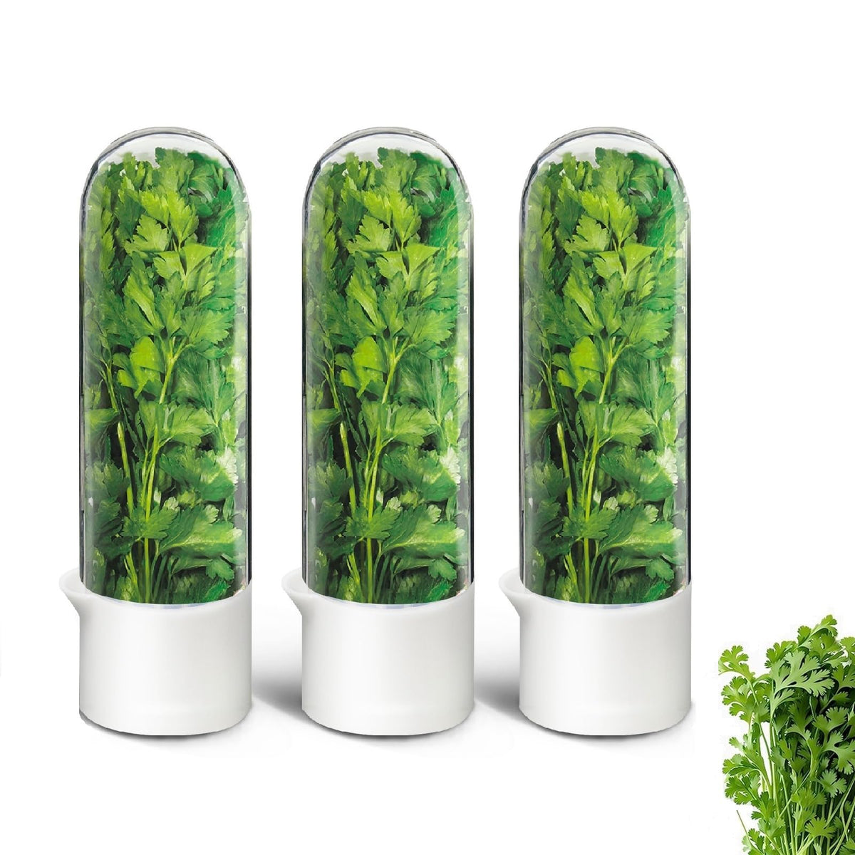 UEOZ herb keeper in fridge with transparent window keeps cilantro fresh longer.